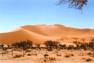 Bis 350 m hoch sind die höchsten Dünen der Welt im Sossusvlej. NAMIBIA - www.outeniqua.de